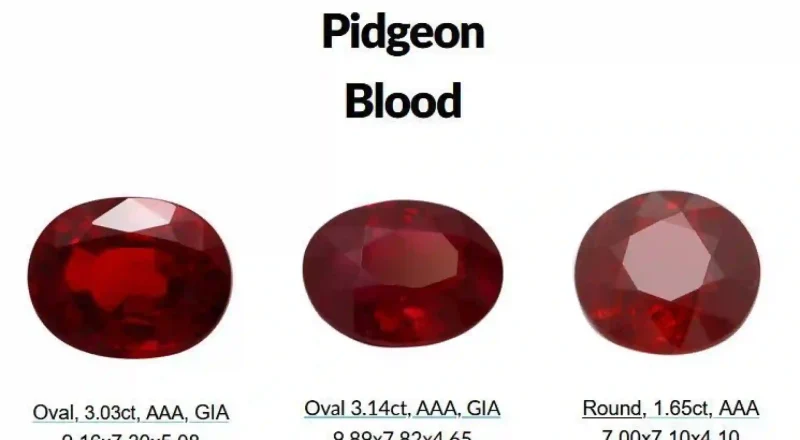 July Birthstone 2026 Ruby — The King ofGemstones and a Symbol of Passion,Power, and Prestige (1)